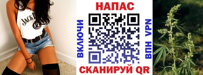 blacksprut ССЫЛКА  дарнет шоп  Александровское  Бошки марихуана Amnesia 